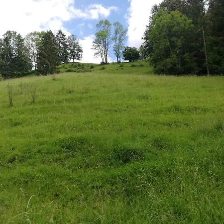 Alpblick Apartment *