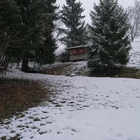 Apartment Alpblick *